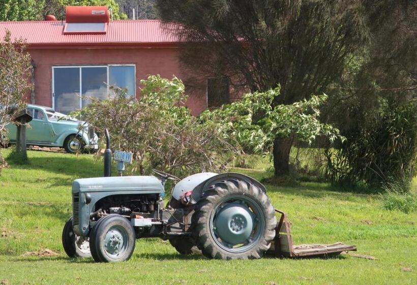 ホテル Cherry Top Farmstay  Boutique Eco Village