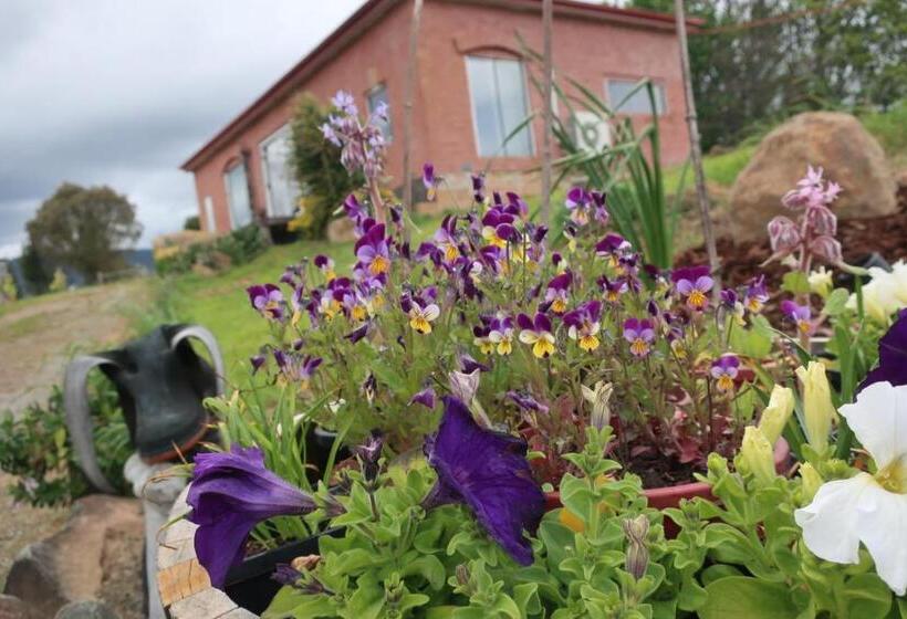 ホテル Cherry Top Farmstay  Boutique Eco Village