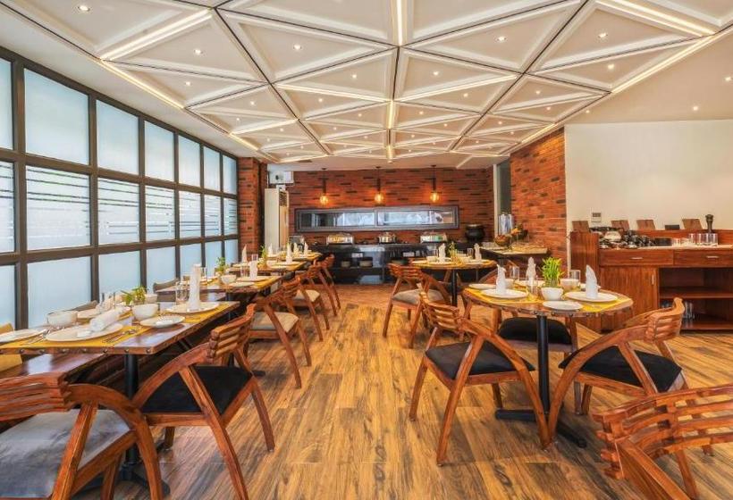 בית מלון כפרי Comfort Inn Dhaliwals, Gurgaon