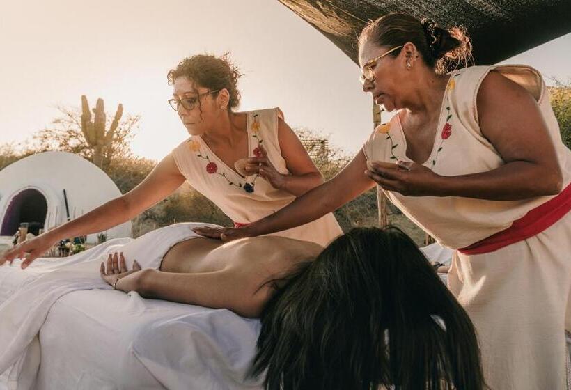 בית מלון כפרי The White Lodge