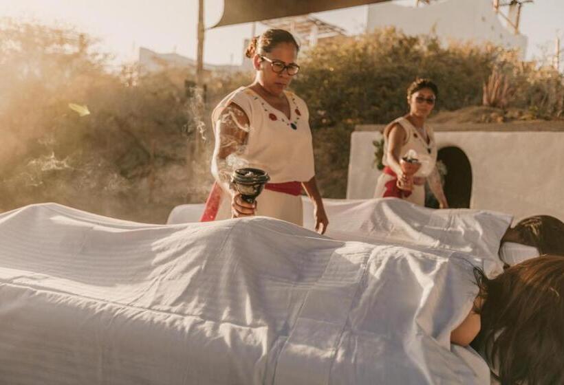 בית מלון כפרי The White Lodge