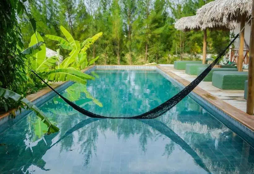 リゾートホテル Pura Vida Hotel E Spa