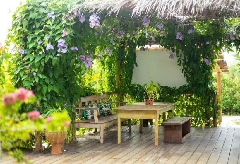 リゾートホテル Pura Vida Hotel E Spa