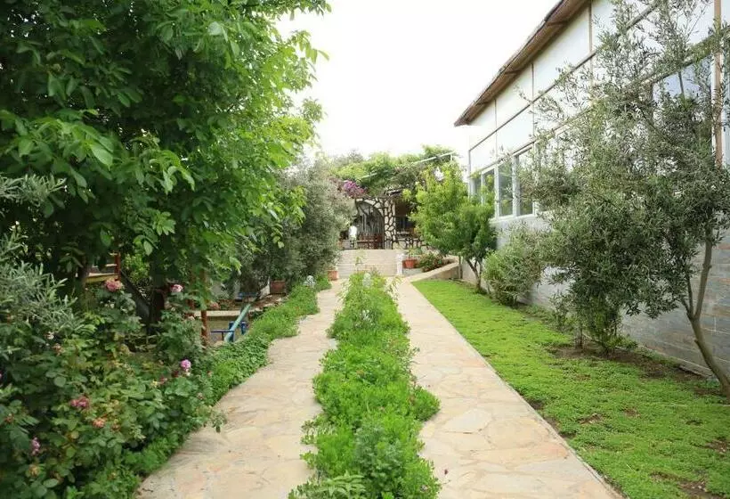 Patara Evleri