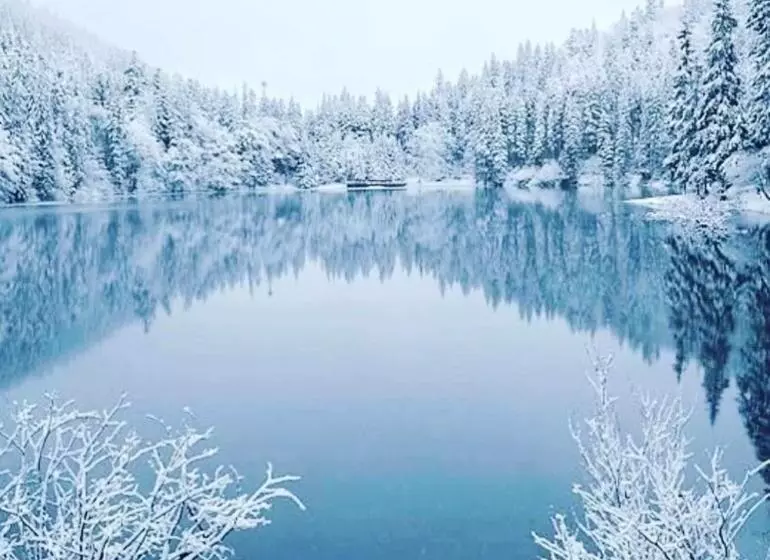 Majatalo котедж смерекова хата  пилипець