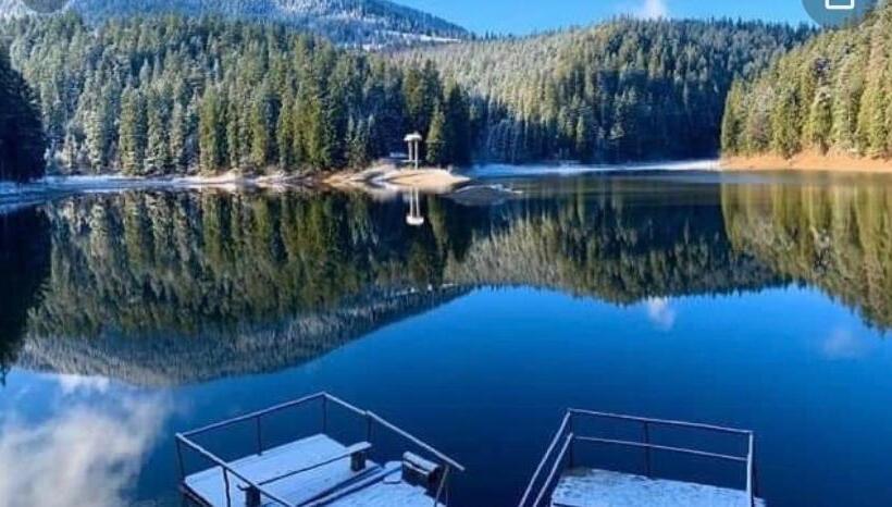 פנסיון котедж смерекова хата  пилипець