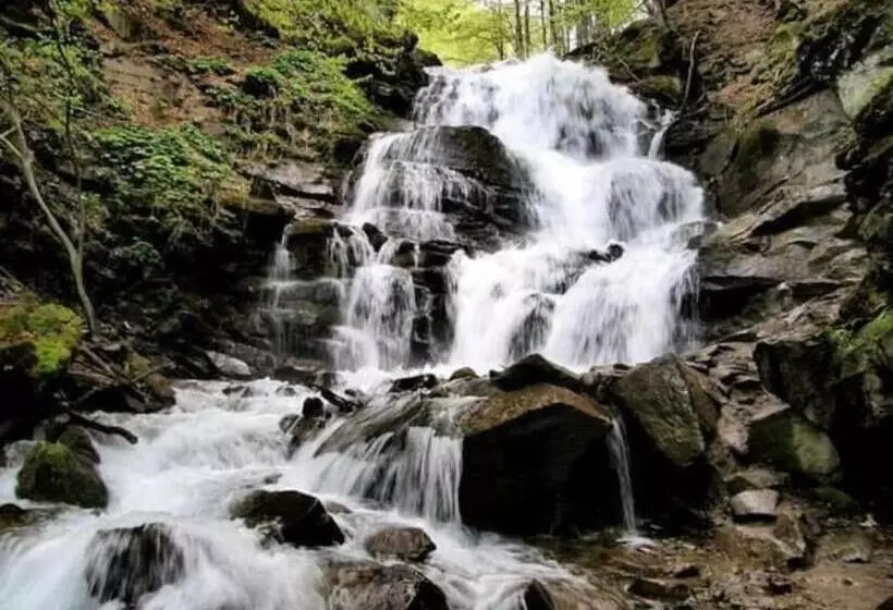 Majatalo котедж смерекова хата  пилипець