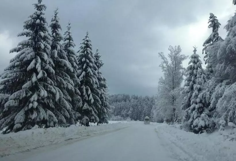 Majatalo котедж смерекова хата  пилипець