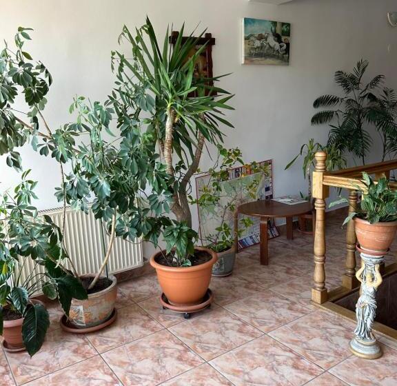 Pensiunea Floare De Colt