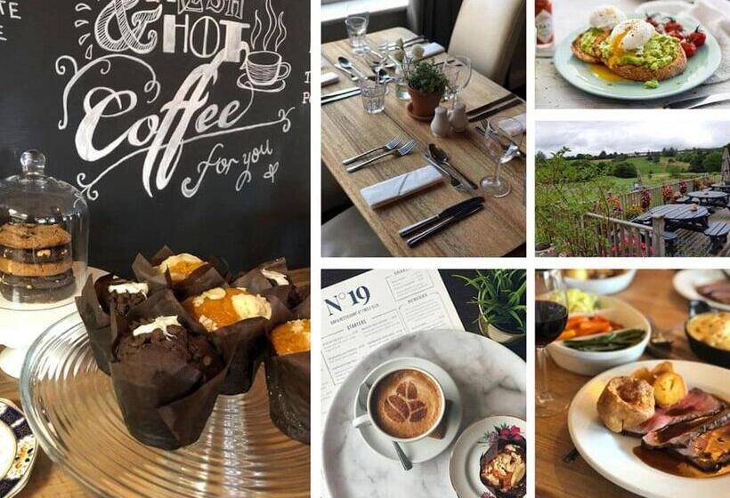 Kurort  Fingle Glen Lodges