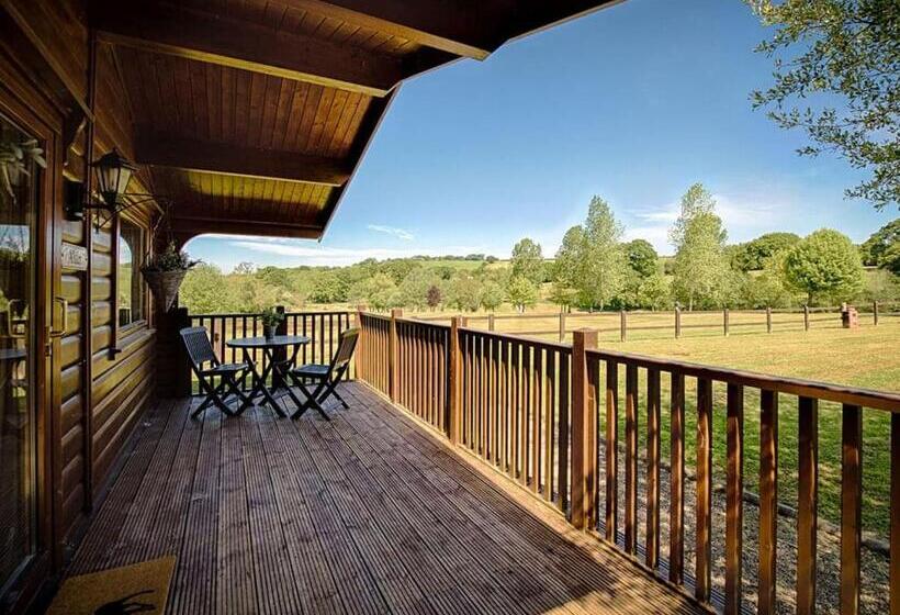 Kurort  Fingle Glen Lodges