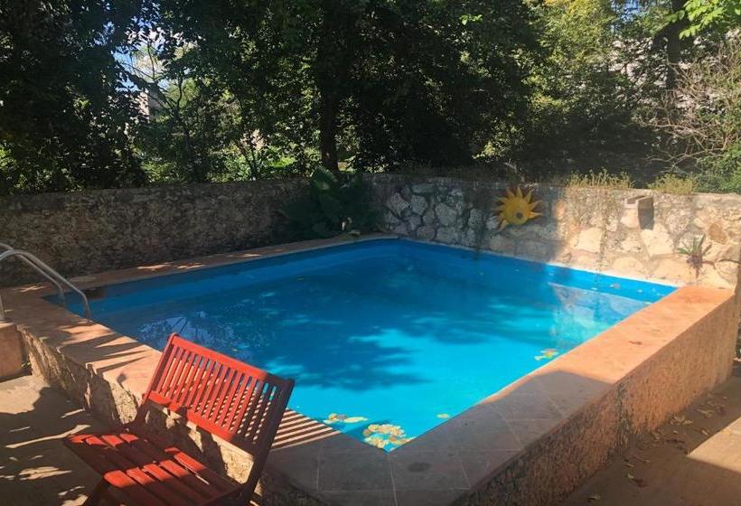 호텔 Capital O Casa Hamaca