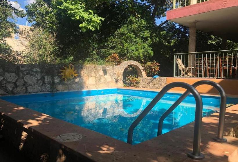 호텔 Capital O Casa Hamaca