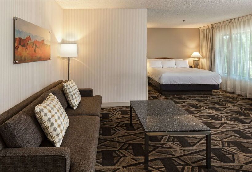 酒店 Doubletree By Hilton Durango