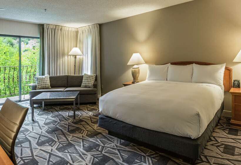 酒店 Doubletree By Hilton Durango