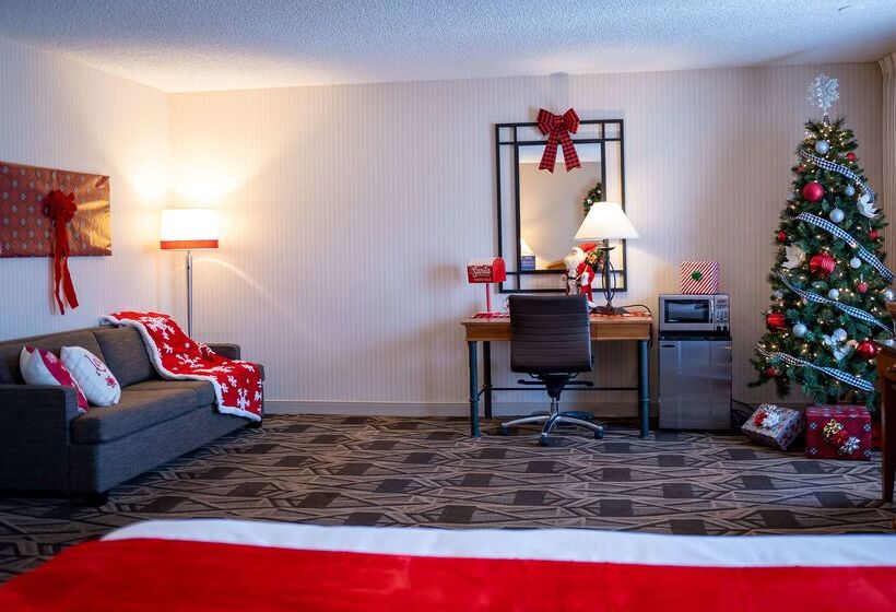 酒店 Doubletree By Hilton Durango