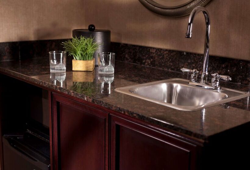 ホテル Embassy Suites Lubbock