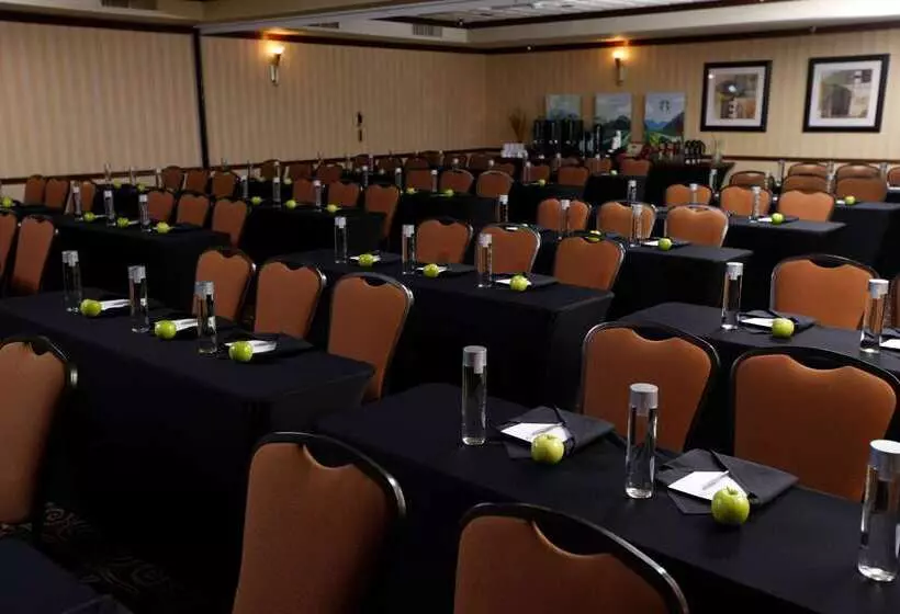 ホテル Embassy Suites Lubbock