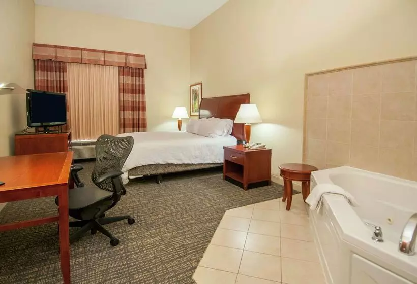هتل Hilton Garden Inn Jackson Pearl