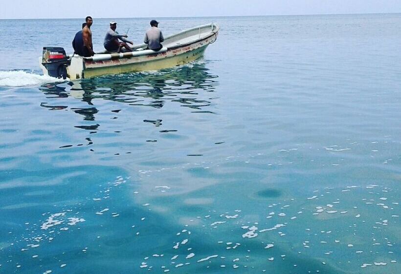 酒店 Mama Bella Hostel