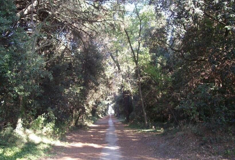 Agenzia Vear   Lido Di Volano