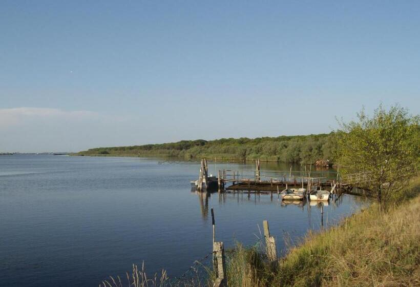 Agenzia Vear   Lido Di Volano