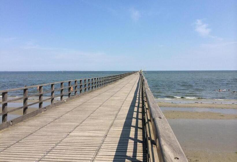 Agenzia Vear   Lido Di Volano