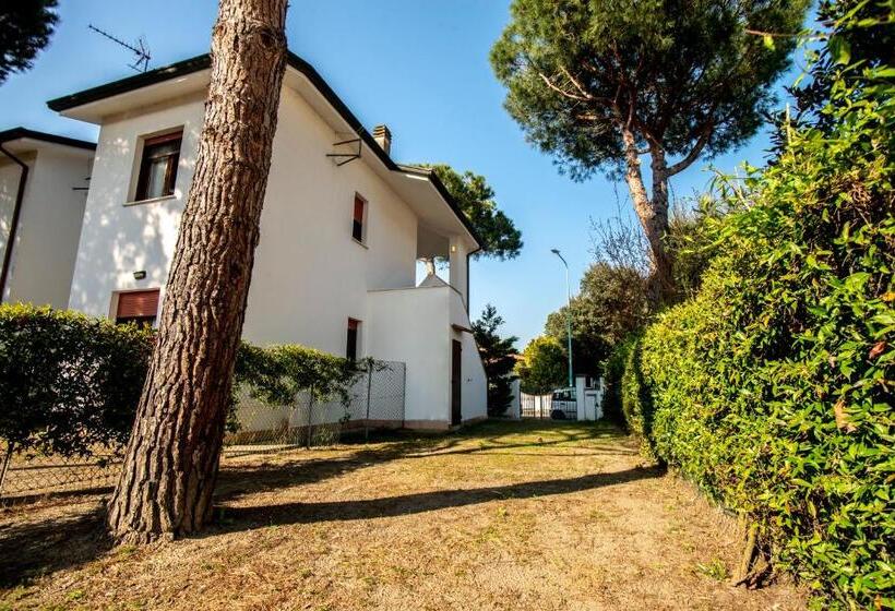 Agenzia Vear   Lido Di Volano