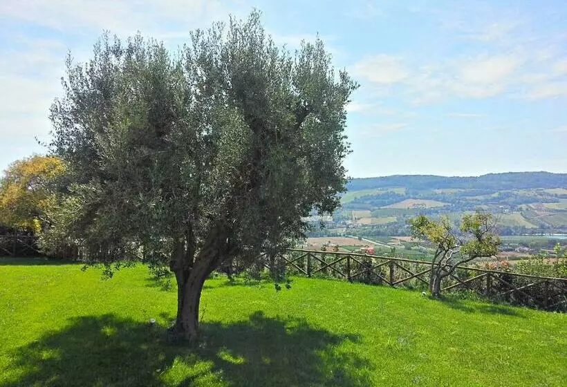 هتل Agriturismo Monte Maggio