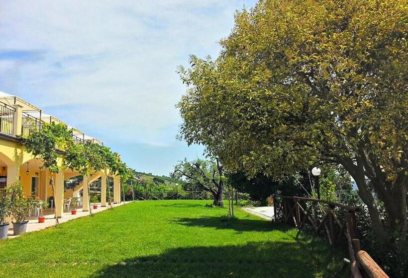 호텔 Agriturismo Monte Maggio