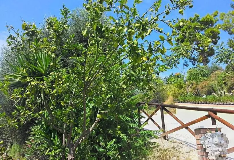 هتل Agriturismo Monte Maggio