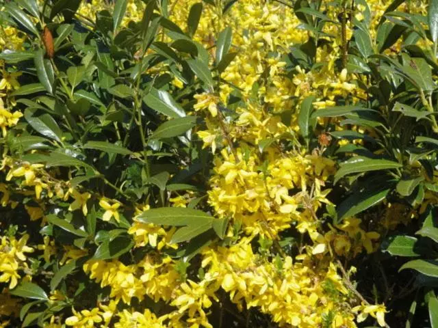 ホテル Au Vieux Moulin