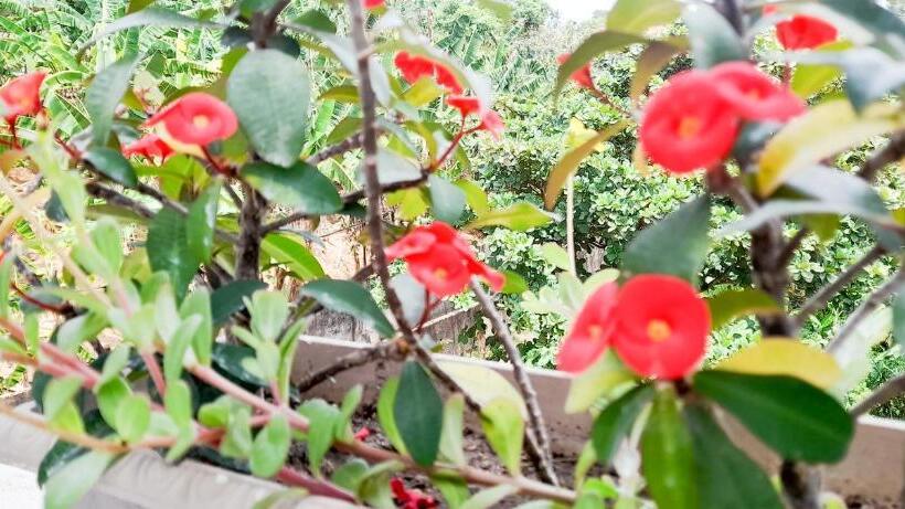 مبيت وإفطار The Ocean Villa