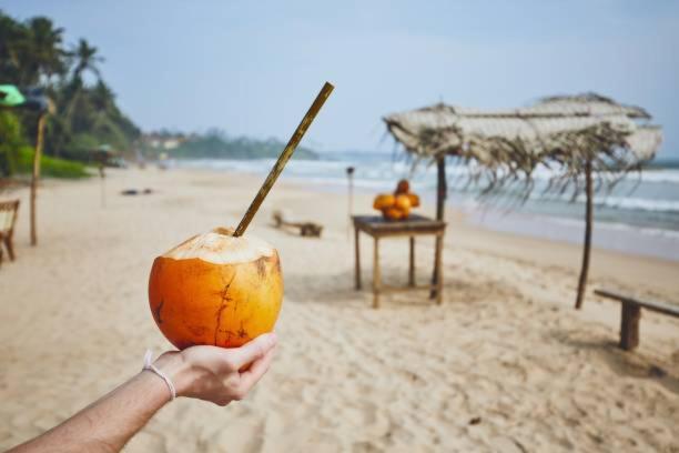 مبيت وإفطار The Ocean Villa