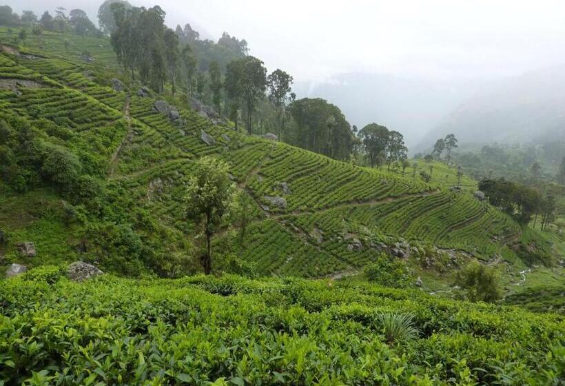 مبيت وإفطار The Ocean Villa