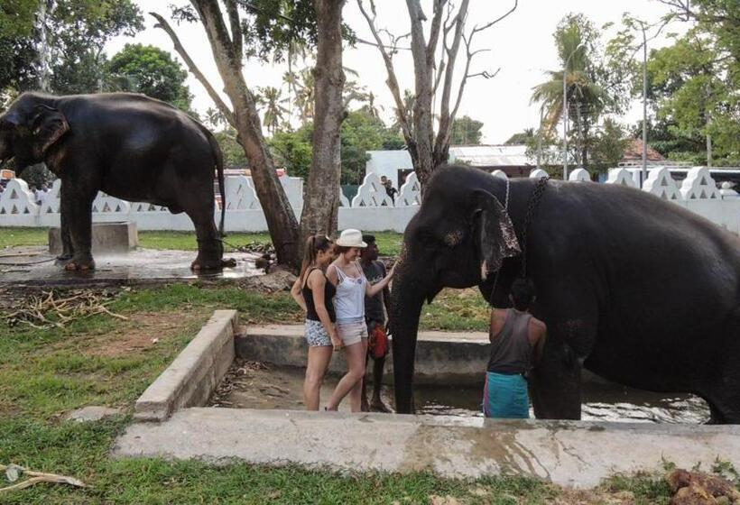 مبيت وإفطار The Ocean Villa