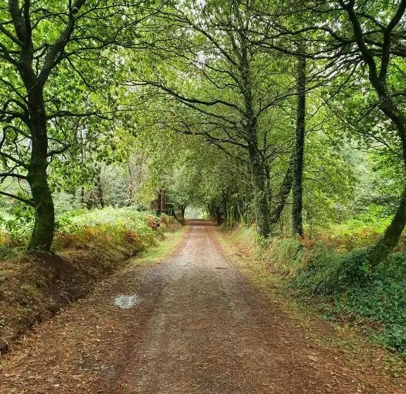 ペンション Casa Rico De Medín
