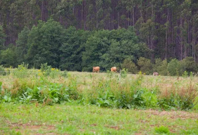ペンション Casa Rico De Medín