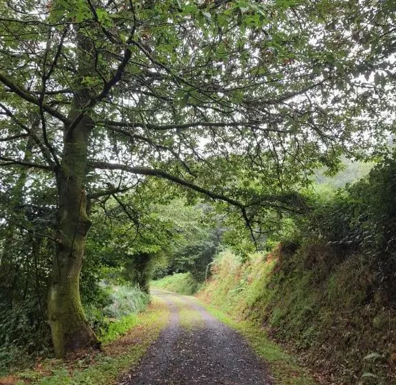 ペンション Casa Rico De Medín