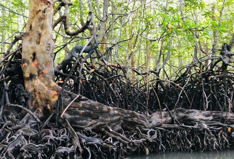 Pensió Jamesbond Bungalow Koh Panyee