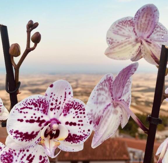 פנסיון Relais San Marco Luxury Guest House