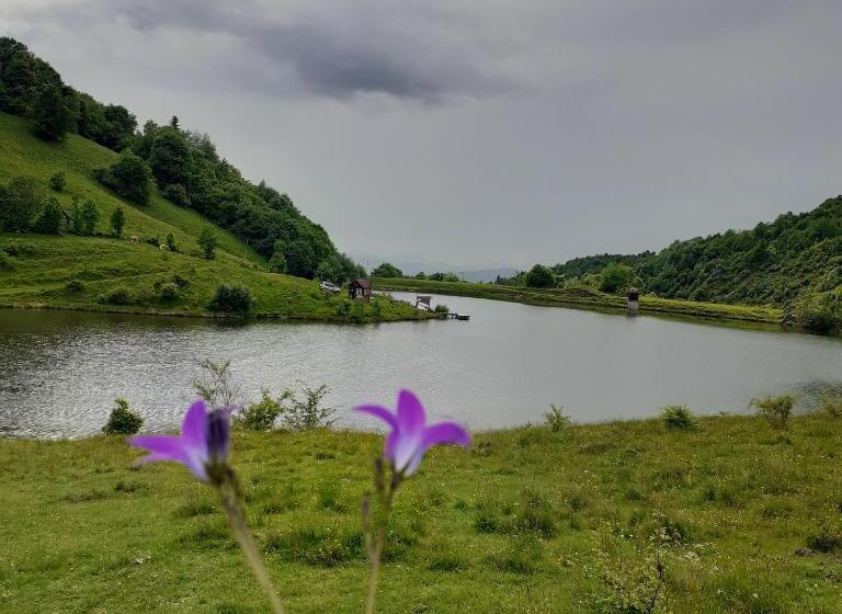 پانسیون Room In Guest Room Healthy Retreat Holiday In Mountain