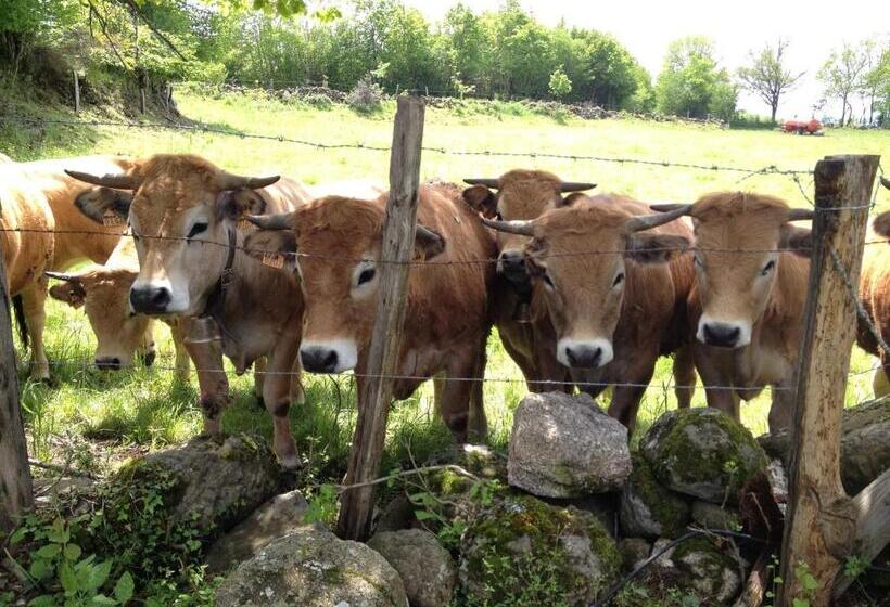 ベッドアンドブレックファースト Le Clos De Banes