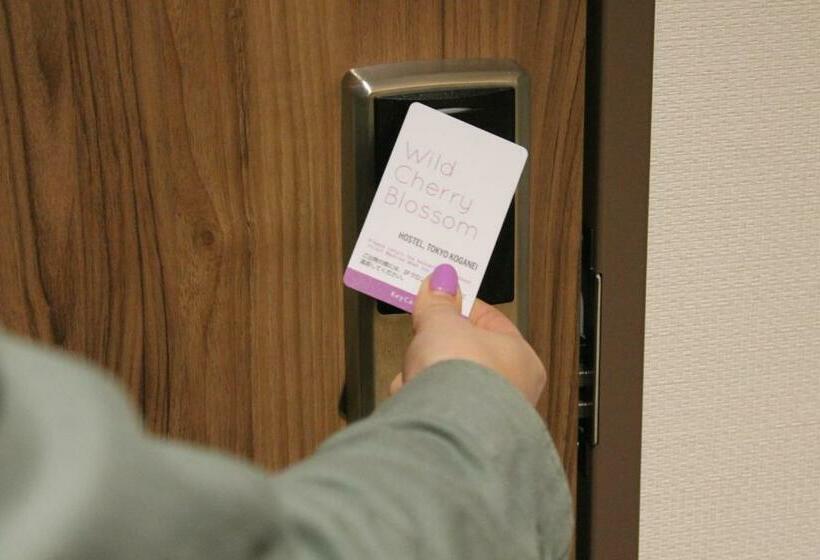 Wild Cherry Blossomhostel,tokyo Koganei