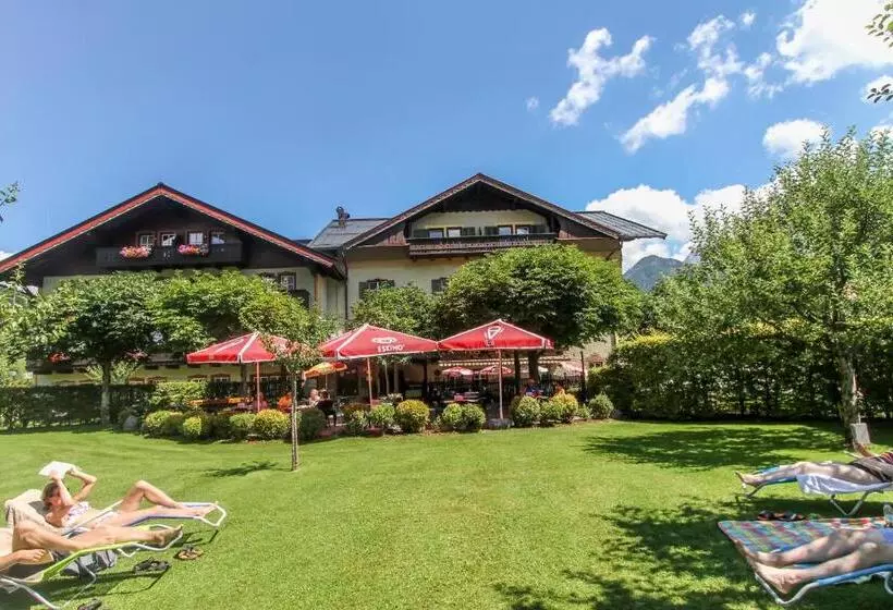 ユースホステル Wirts Haus Zum Schweizer