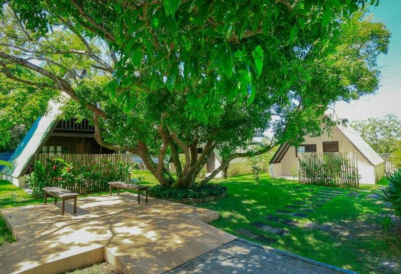 Pansiyon Pousada Ecologica Bangalo De Praia