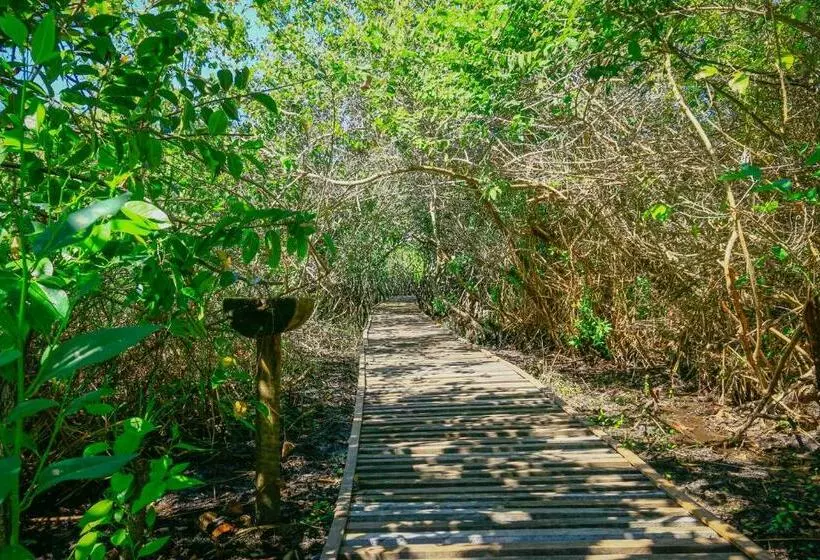 ペンション Pousada Ecologica Bangalo De Praia
