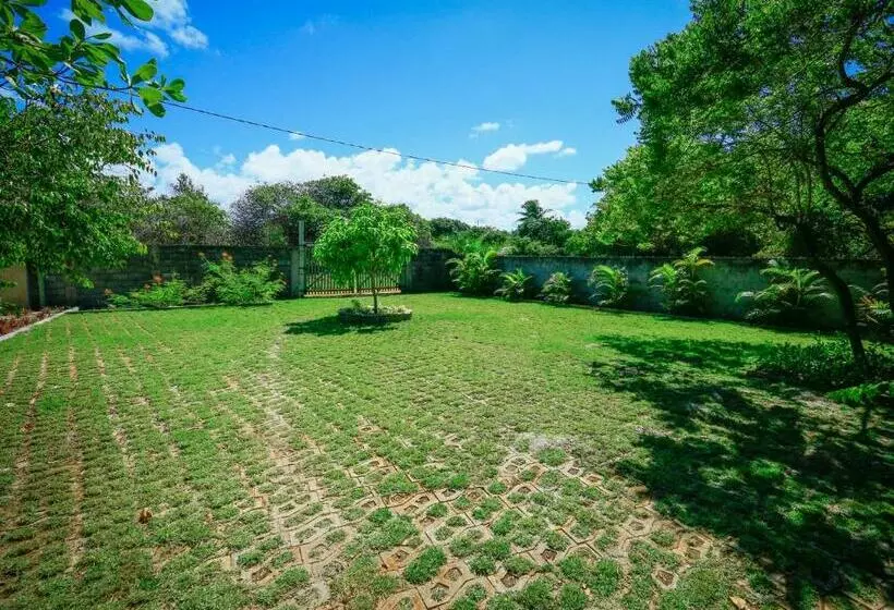 ペンション Pousada Ecologica Bangalo De Praia