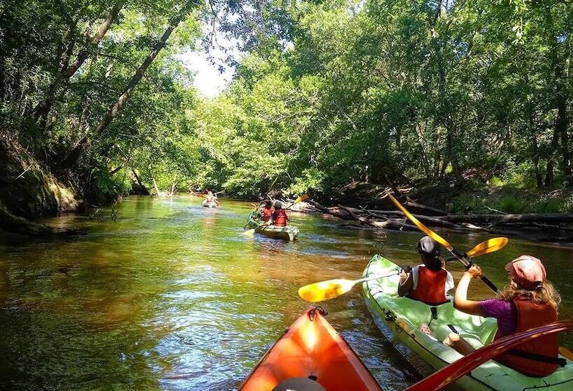 ペンション Chambres à Louer Le Domaine