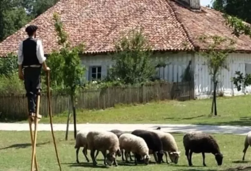 Majatalo Chambres à Louer Le Domaine